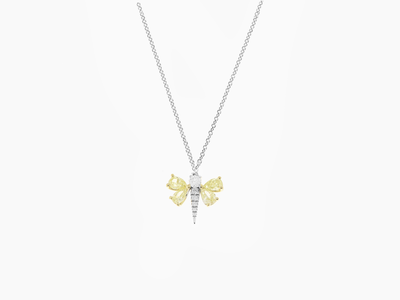 Jardin Secret – Libelle des Lichts
